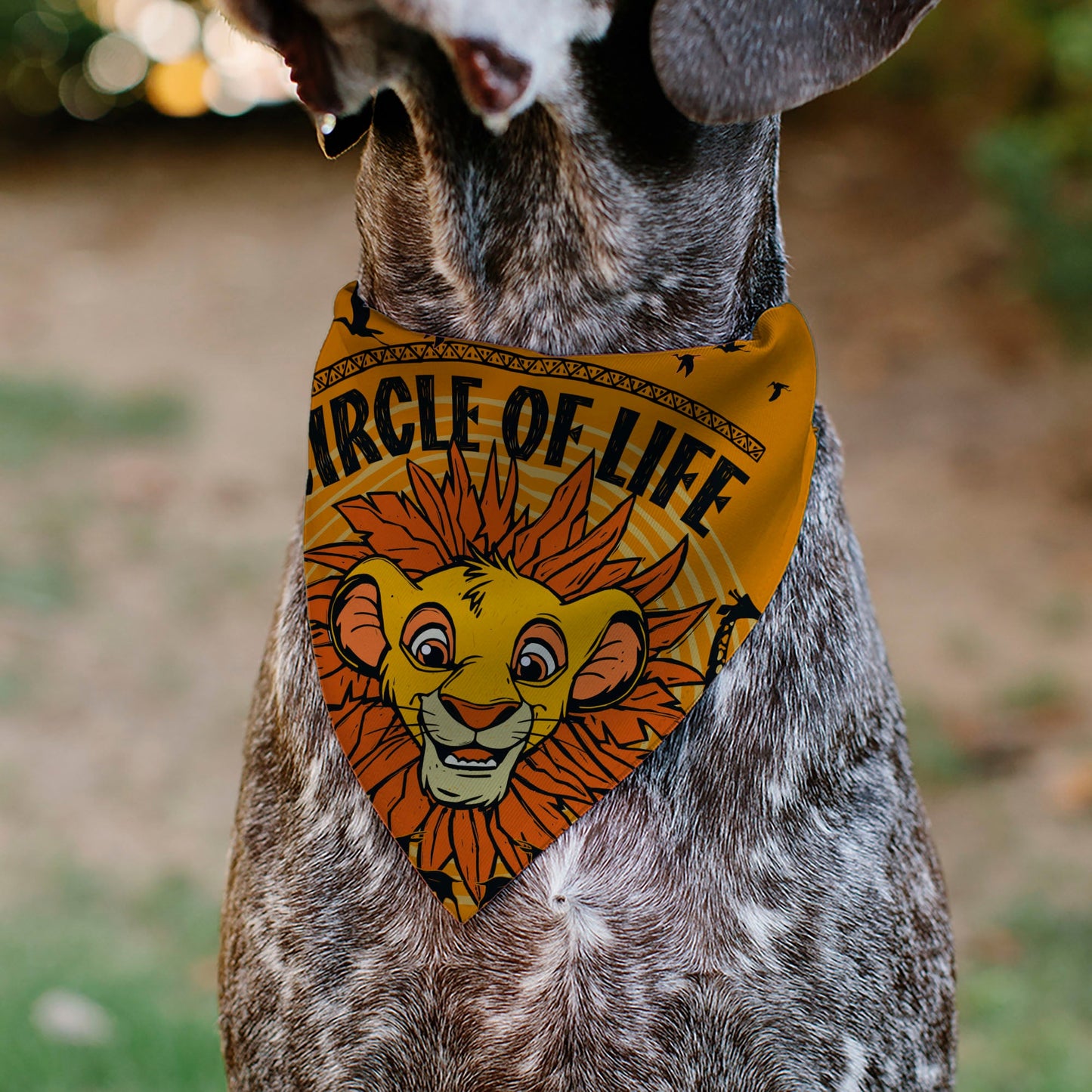 Pet Bandana - The Lion King Young Simba CIRCLE OF LIFE Pose Oranges/Black
