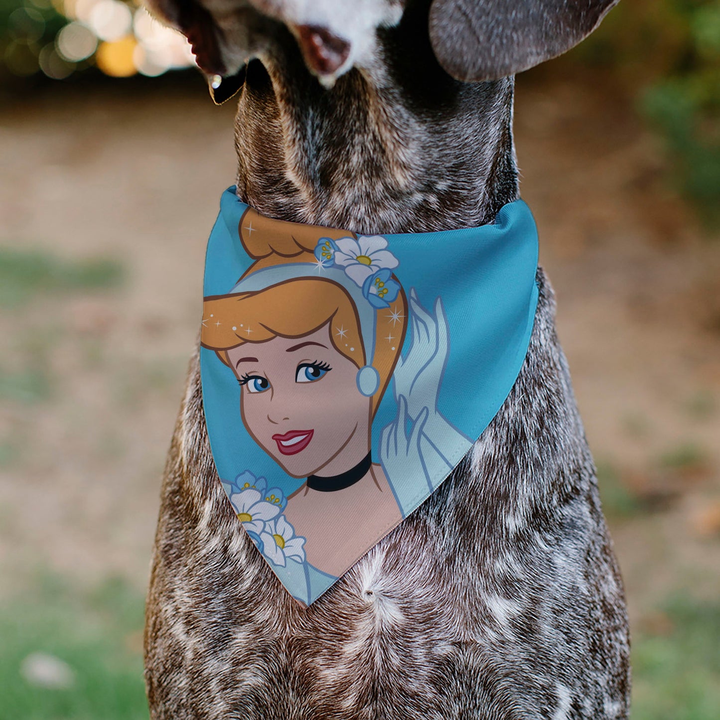 Pet Bandana - Cinderella Face Pose Close-Up Blues