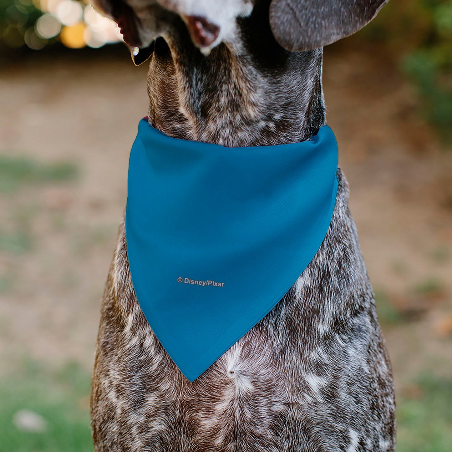 Pet Bandana - Toy Story Bo Peep Close-Up Pop Art Face Blue