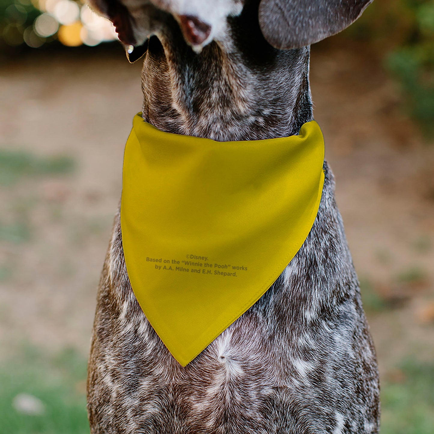 Pet Bandana - Winnie the Pooh Winking Smiling Face Golden Yellow