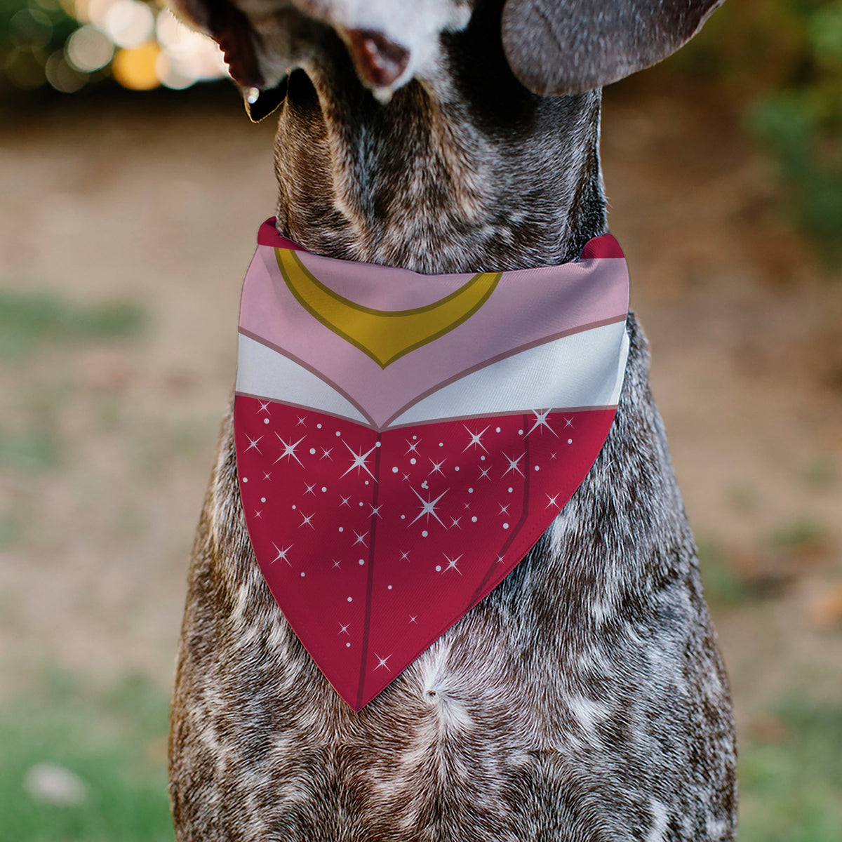 Pet Bandana - Sleeping Beauty Princess Aurora Dress Print Pink