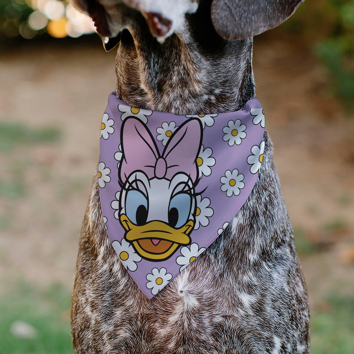 Pet Bandana - Daisy Duck Smiling Pose with Daisies Lavender