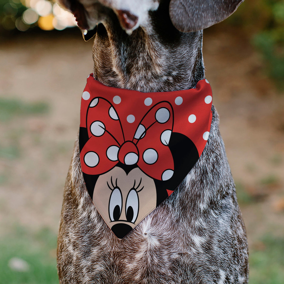 Pet Bandana - Minnie Mouse Face Polka Dot Red/White