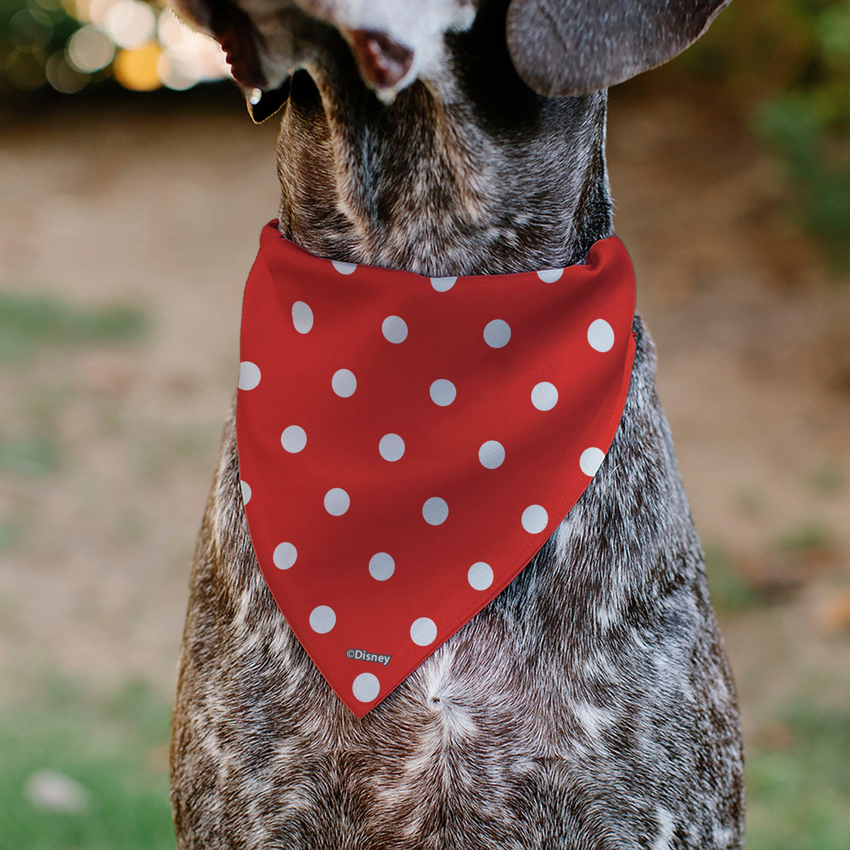 Pet Bandana - Minnie Mouse Face Polka Dot Red/White