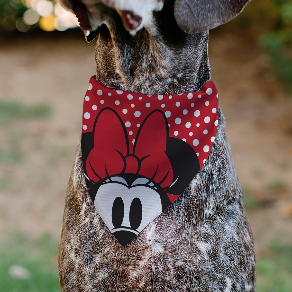 Pet Bandana - Minnie Mouse Button Eyes Pose Polka Dot Red/White