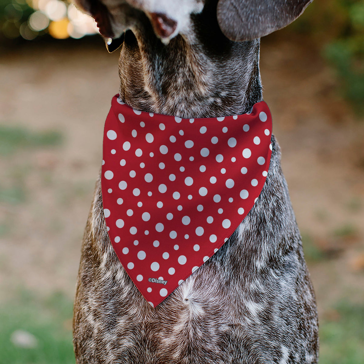 Pet Bandana - Minnie Mouse Button Eyes Pose Polka Dot Red/White