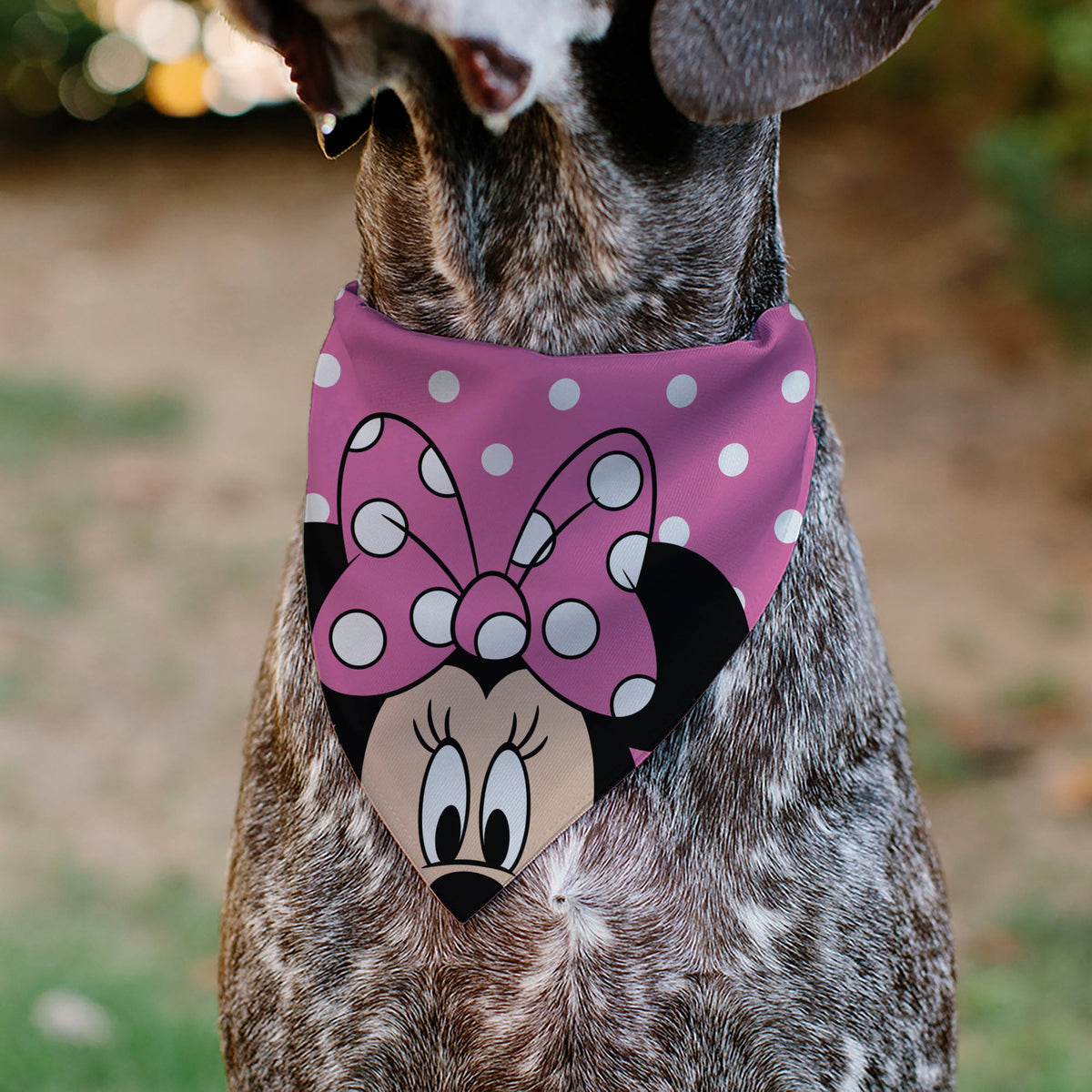 Pet Bandana - Minnie Mouse Face Polka Dot Pink/White