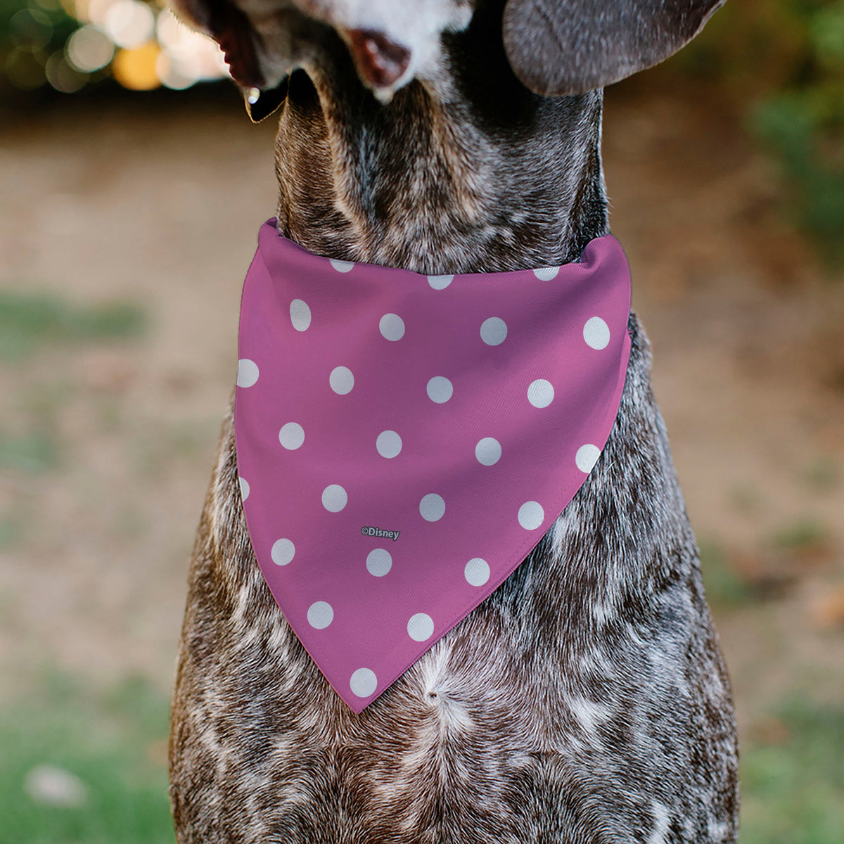 Pet Bandana - Minnie Mouse Face Polka Dot Pink/White