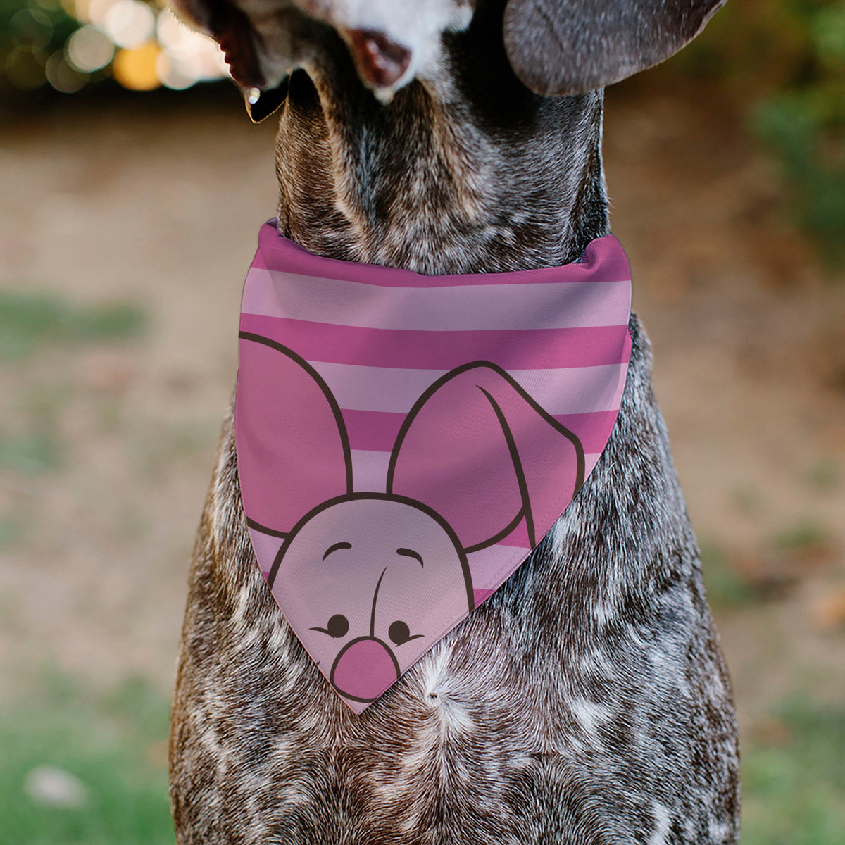 Pet Bandana - Piglet Face and Stripes Pinks