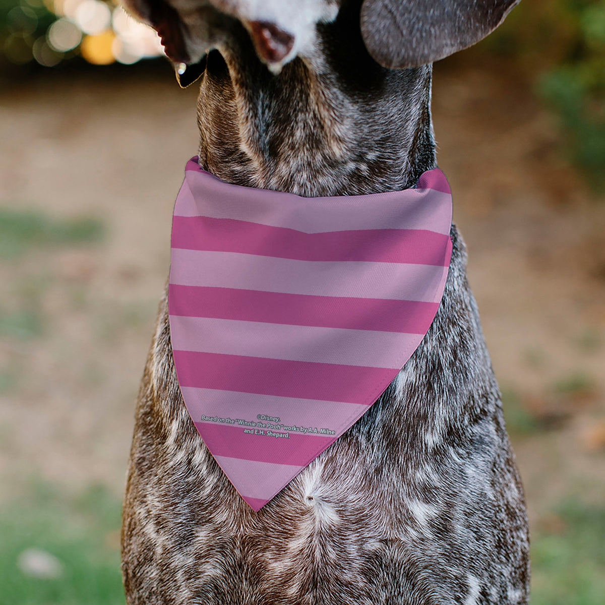Pet Bandana - Piglet Face and Stripes Pinks