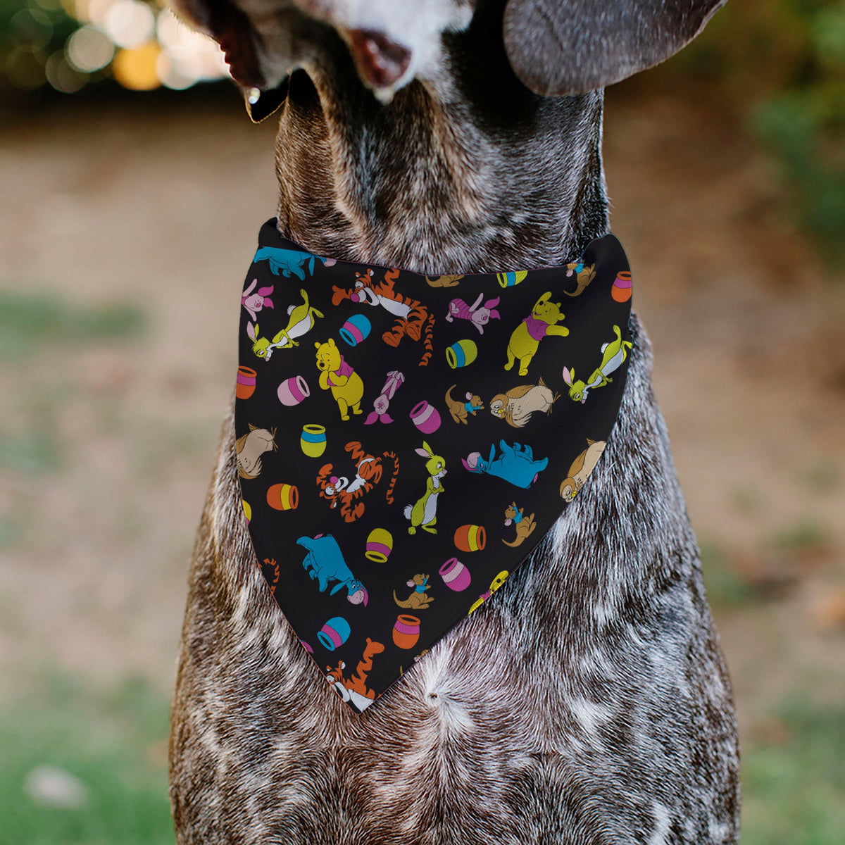Pet Bandana - Winnie the Pooh Characters and Hunny Pots Collage Black