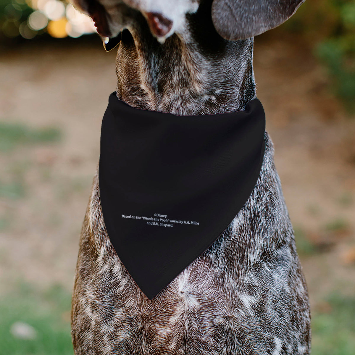 Pet Bandana - Winnie the Pooh Characters and Hunny Pots Collage Black