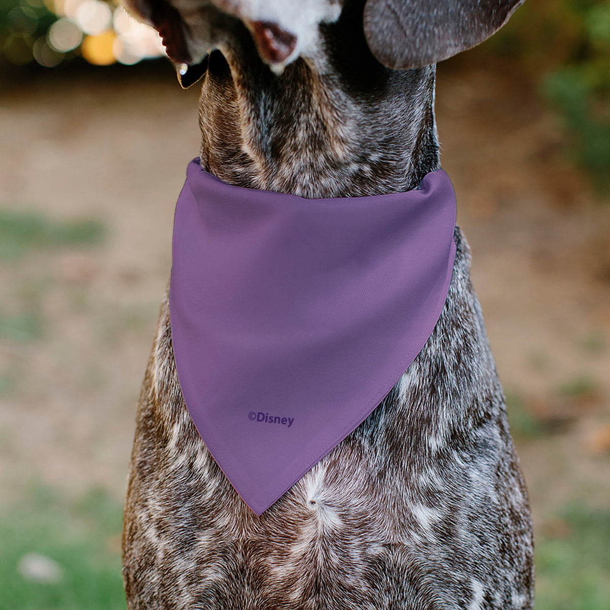 Pet Bandana - Tangled Princess Rapunzel Dress Print Lavender/Pinks