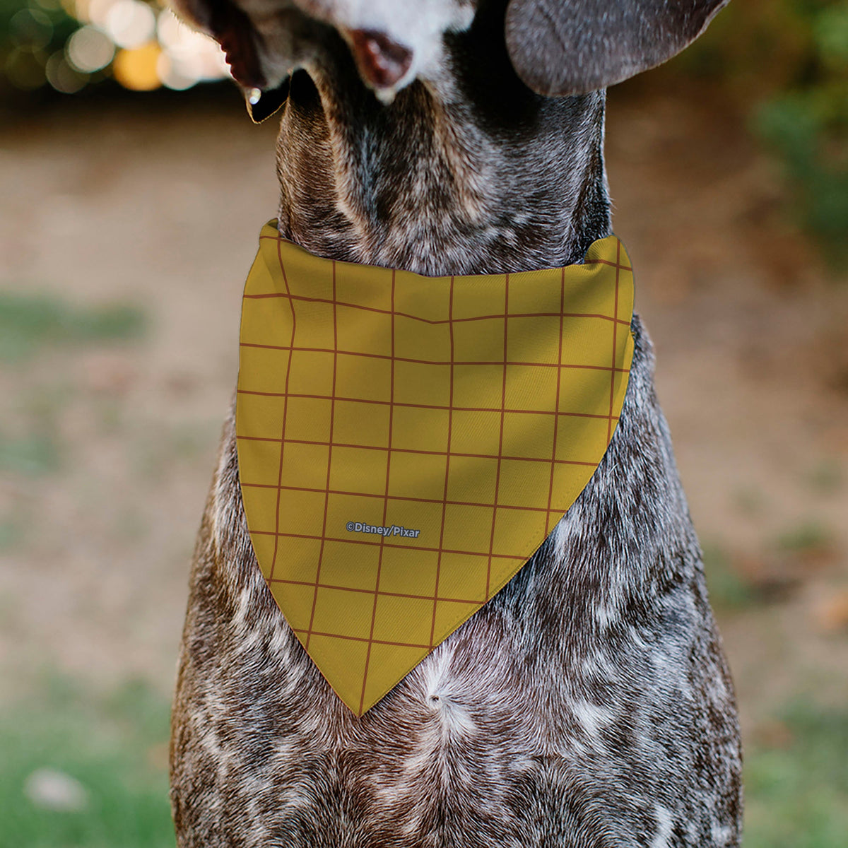 Pet Bandana - Toy Story Woody Bounding Costume Bodice