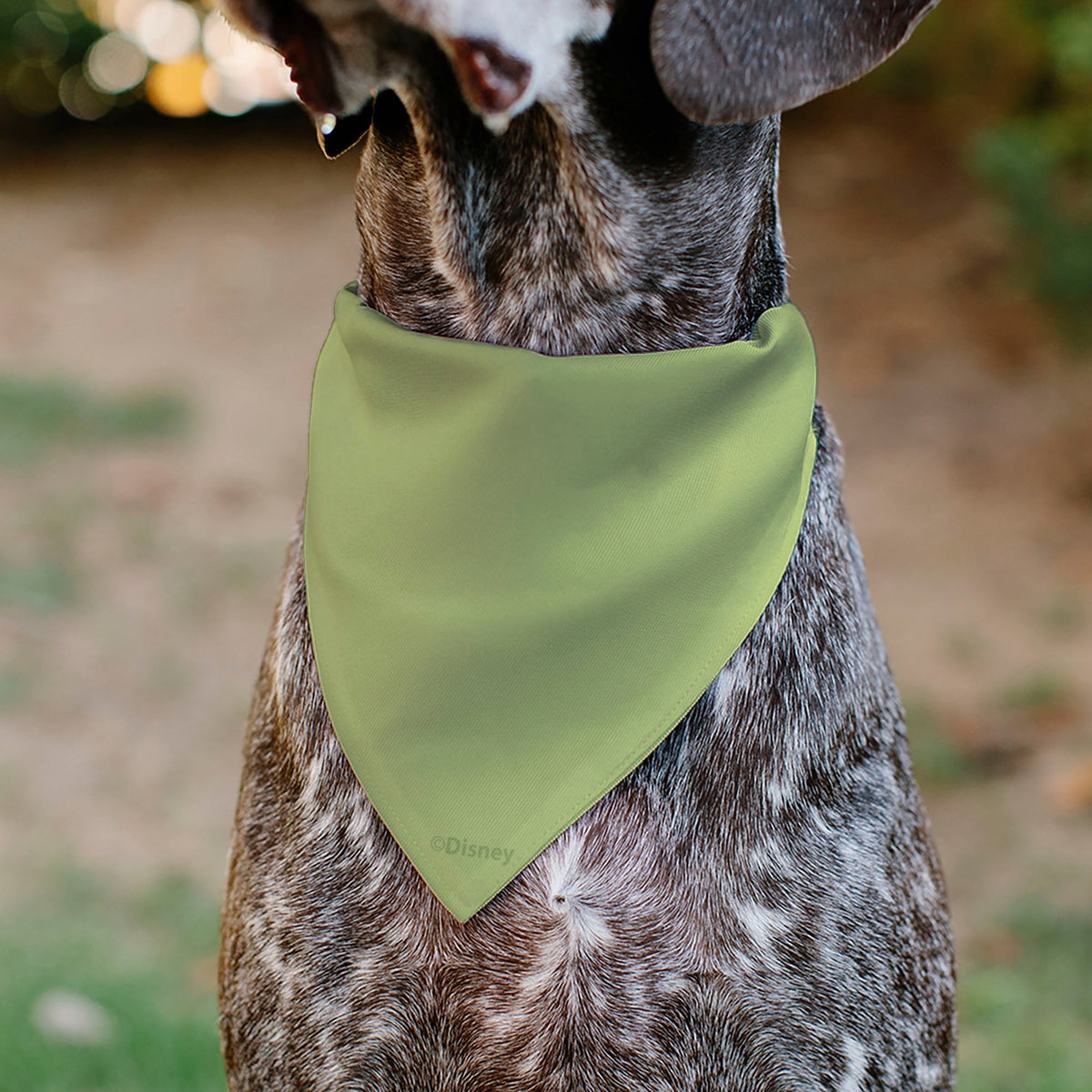 Pet Bandana - The Princess and the Frog Princess Tiana Dress Print Greens/Yellow