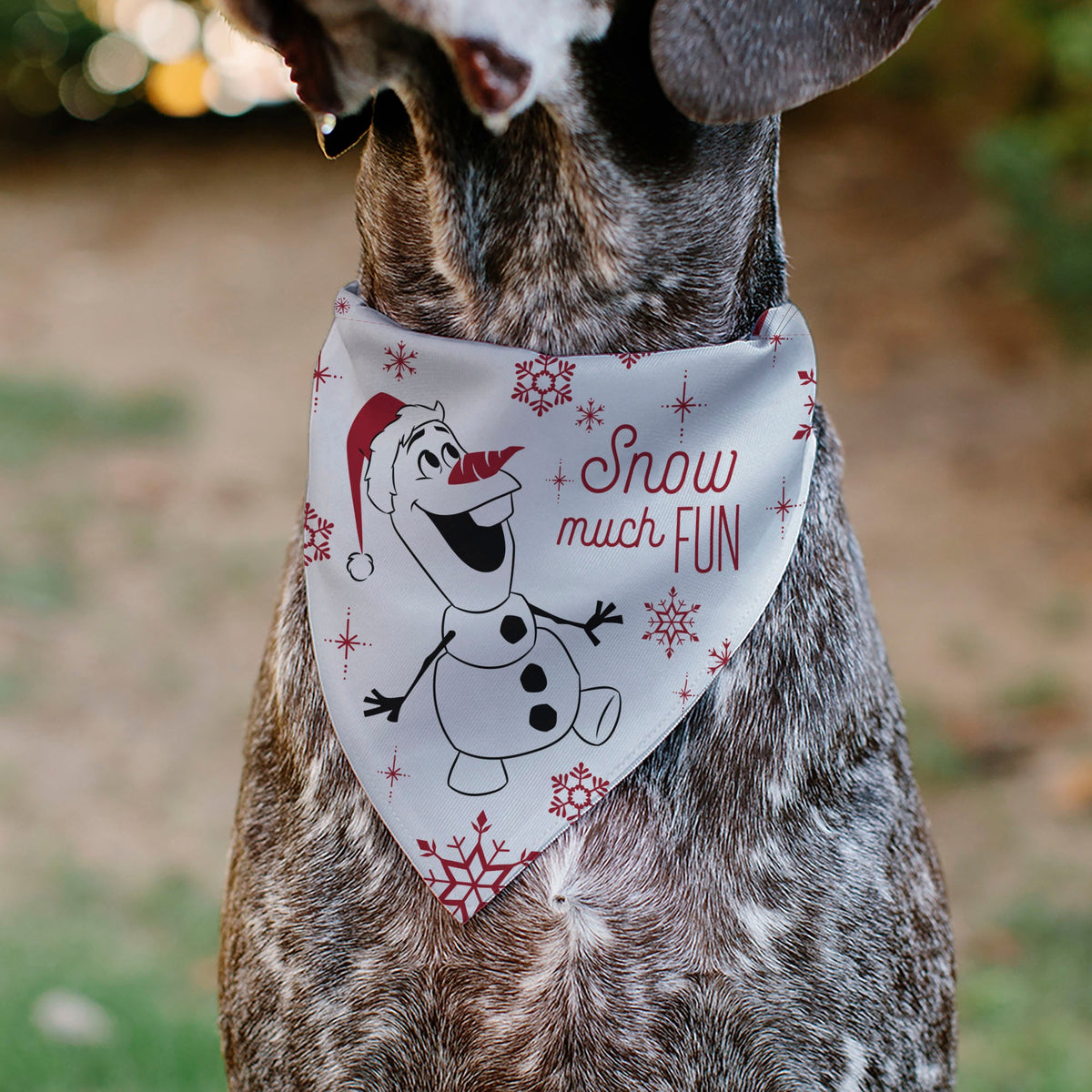 Pet Bandana - Frozen Olaf SNOW MUCH FUN Pose with Anna and Else Poses White/Red