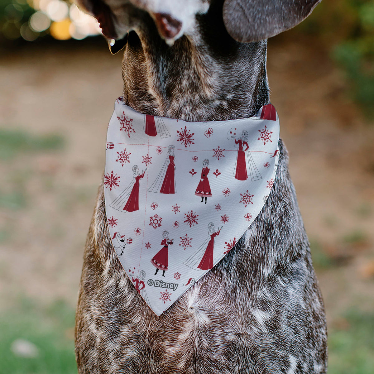 Pet Bandana - Frozen Olaf SNOW MUCH FUN Pose with Anna and Else Poses White/Red