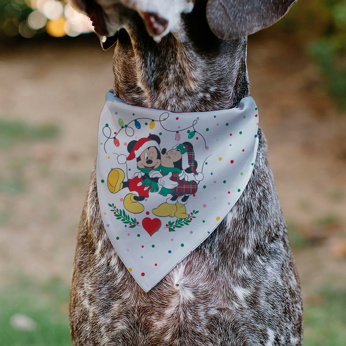 Pet Bandana - Mickey and Minnie Holiday Kiss and Sled Poses Multi Color