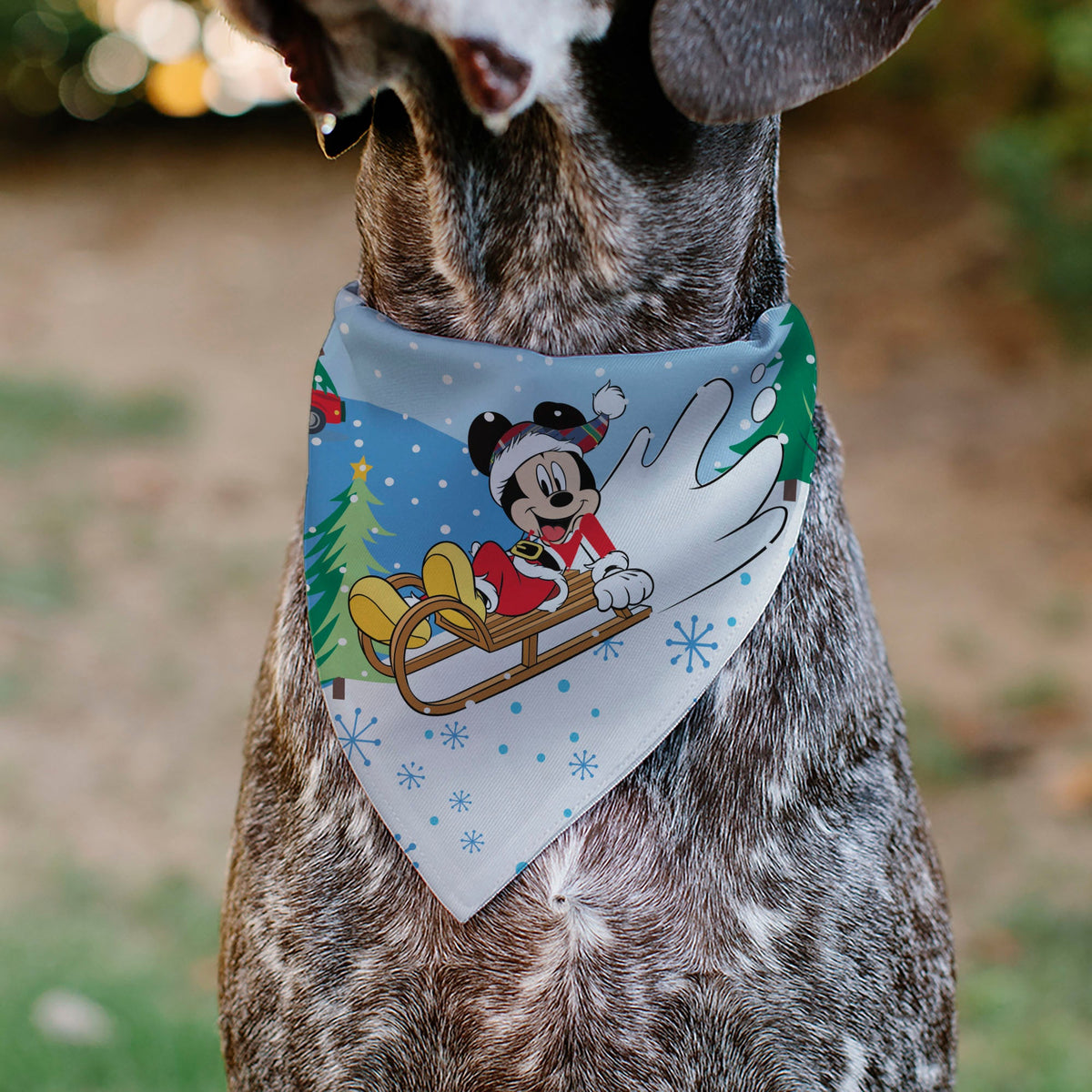 Pet Bandana - Mickey and Minnie Holiday Kiss and Sled Poses Multi Color