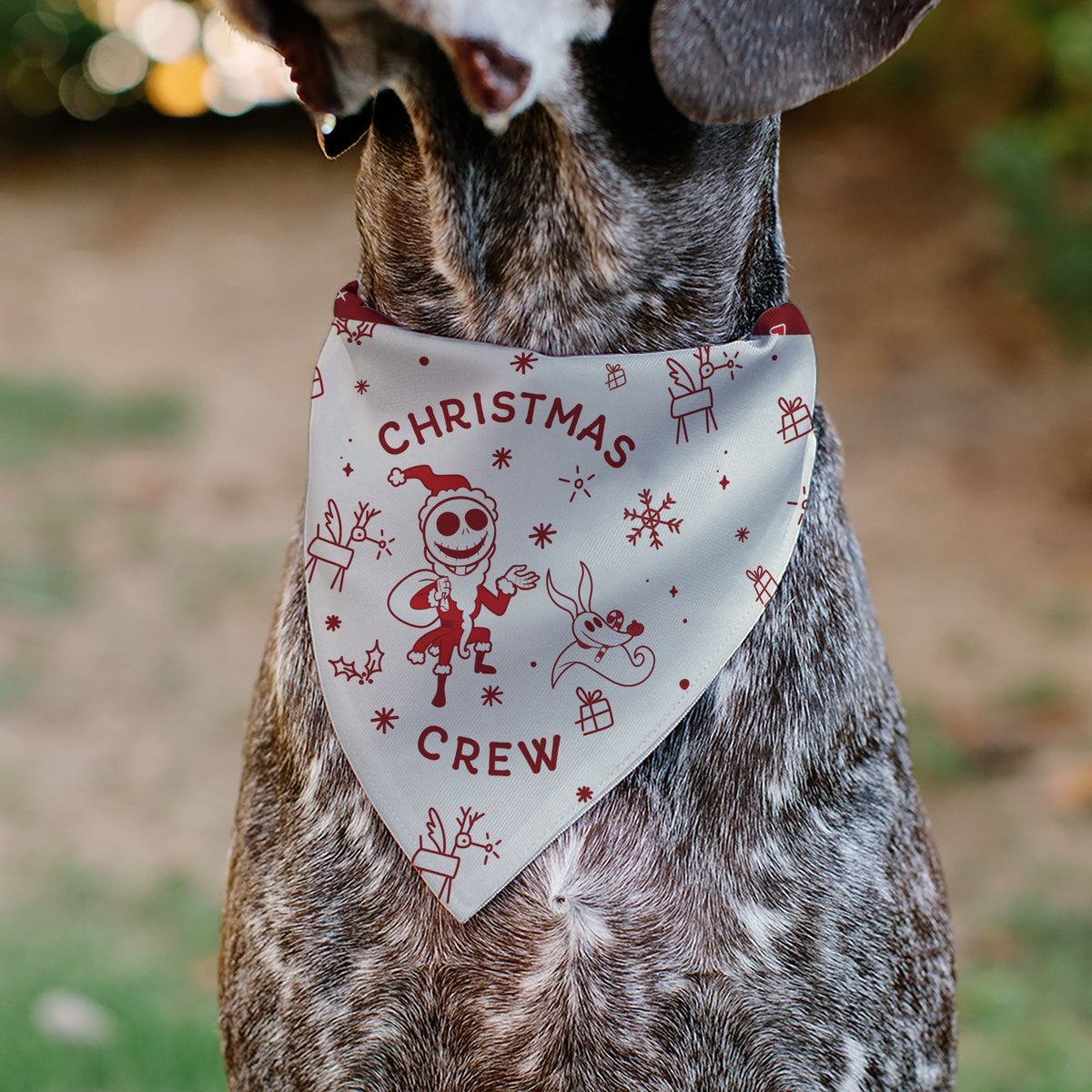 Pet Bandana - The Nightmare Before Christmas Jack and Zero CHRISTMAS CREW Pose with Icons Scattered White/Reds
