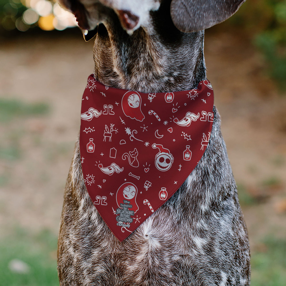 Pet Bandana - The Nightmare Before Christmas Jack and Zero CHRISTMAS CREW Pose with Icons Scattered White/Reds