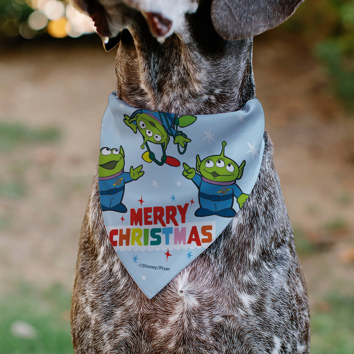 Pet Bandana - Holiday Toy Story 4 Characters MERRY CHRISTMAS Group Pose Light Blue
