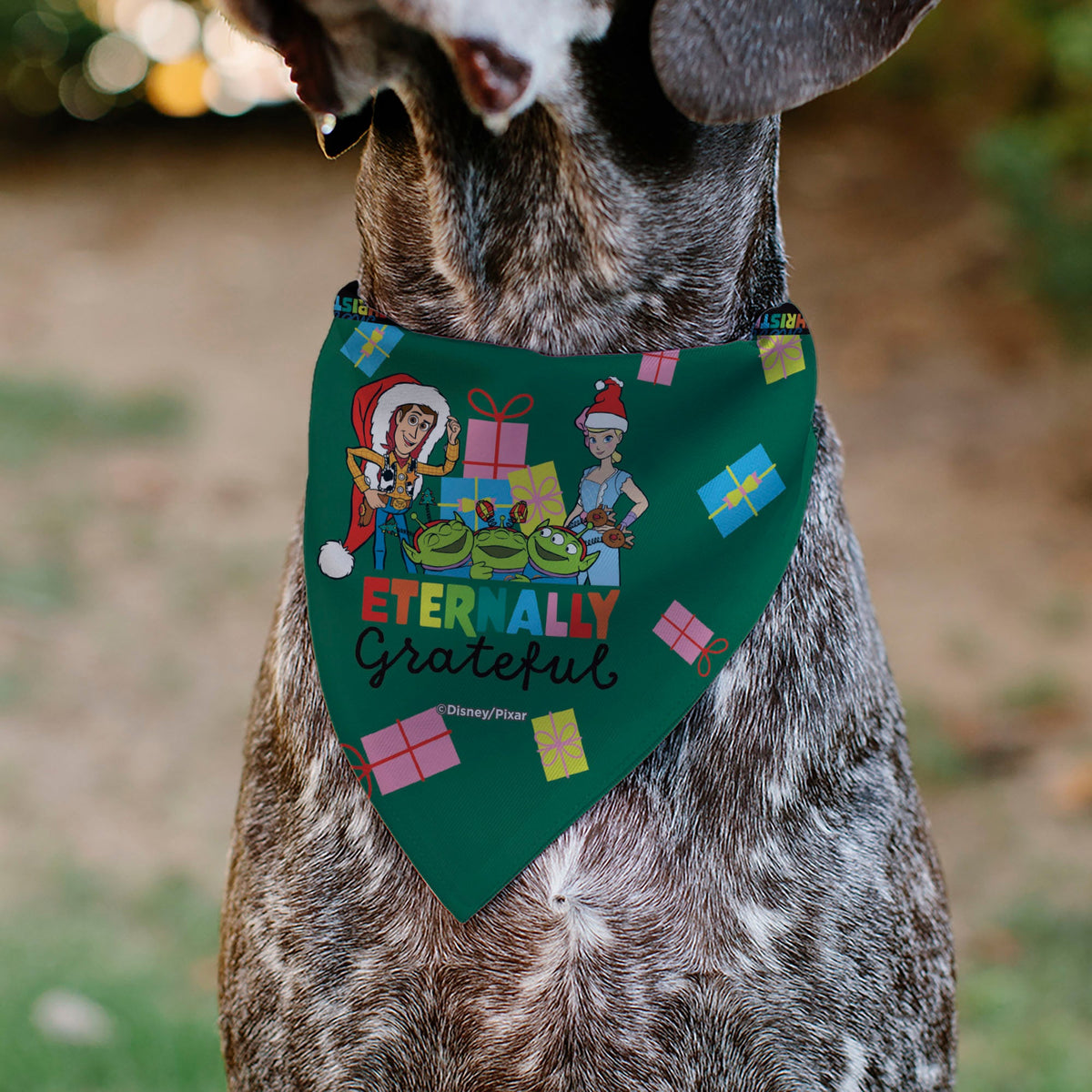 Pet Bandana - Toy Story ETERNALLY GRATEFUL Holiday Pose and Icons Multi Color