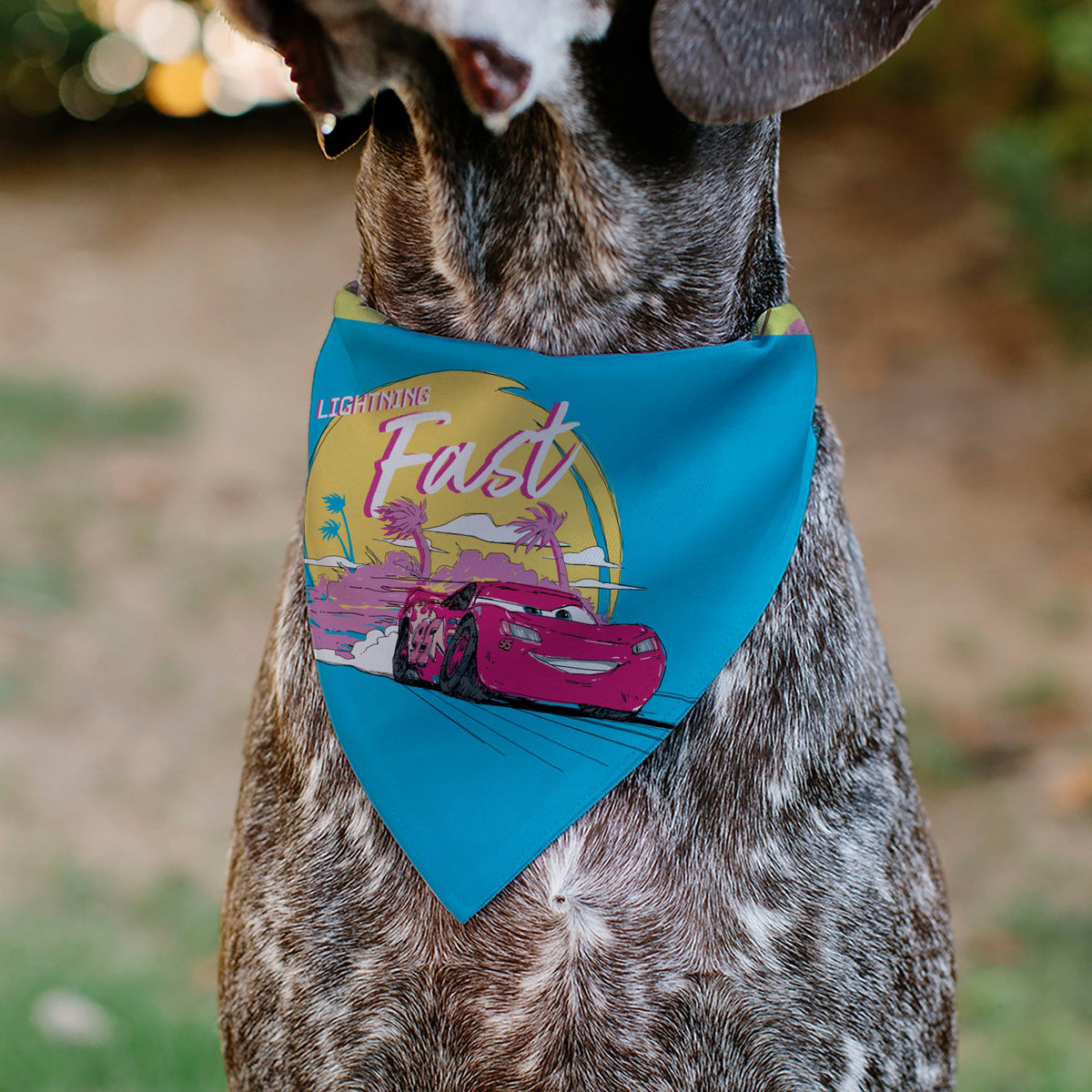 Pet Bandana - Cars Lightning McQueen LIGHTNING FAST Pose and Icons