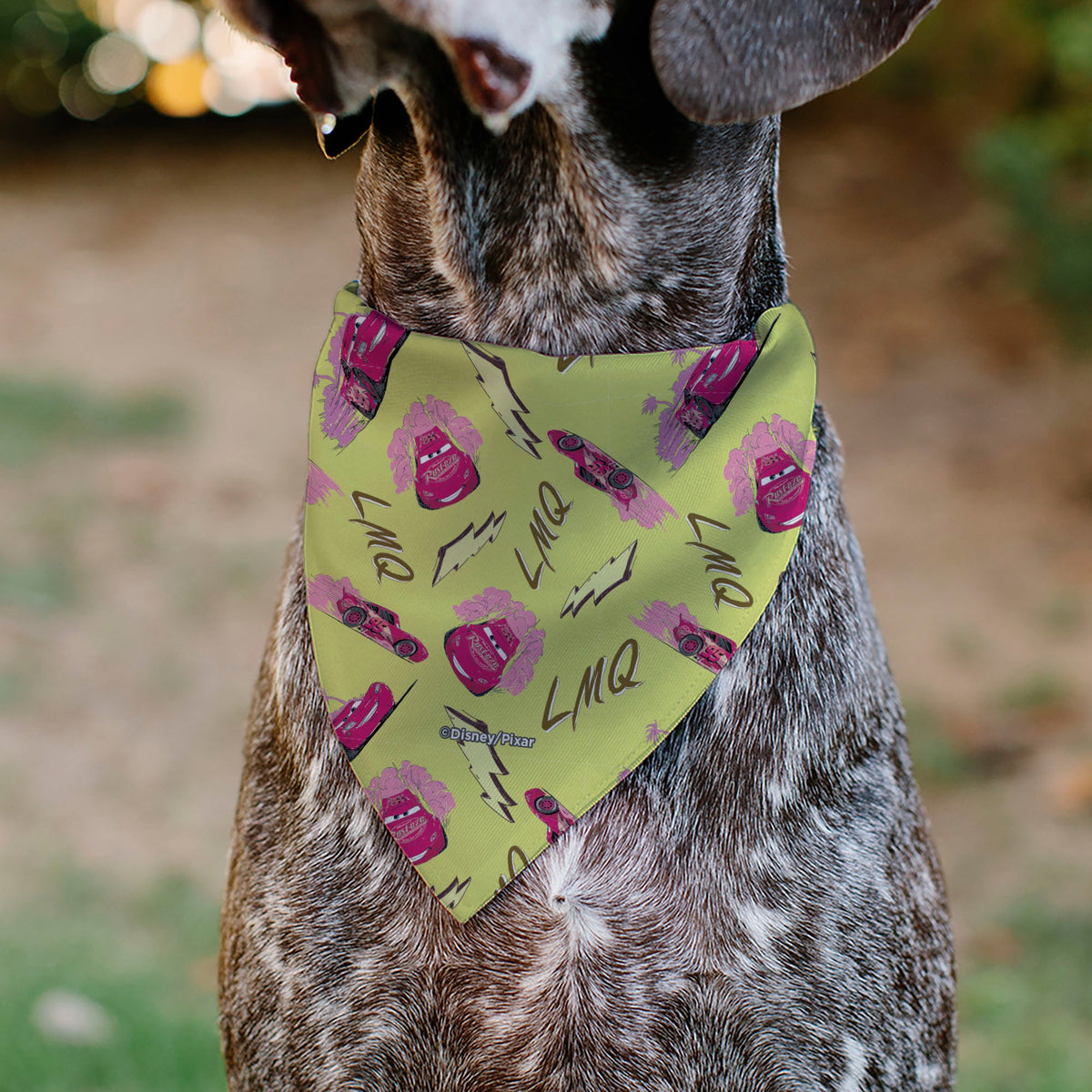 Pet Bandana - Cars Lightning McQueen LIGHTNING FAST Pose and Icons