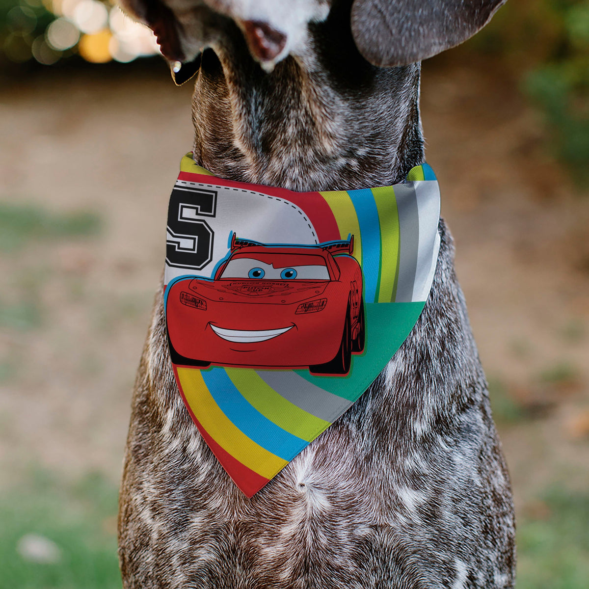 Pet Bandana - Cars Lightning McQueen EAT MY DUST Pose Multi Color