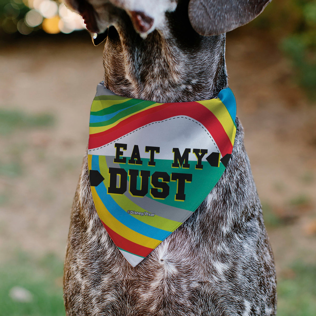 Pet Bandana - Cars Lightning McQueen EAT MY DUST Pose Multi Color