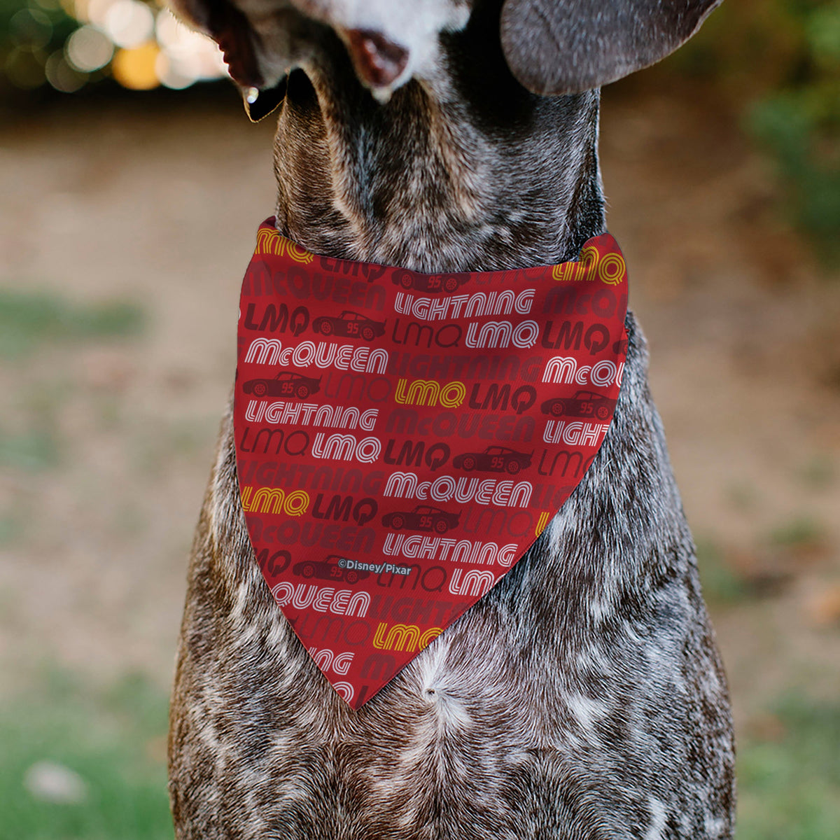 Pet Bandana - Cars LMQ LIGHTNING MCQUEEN Pose and Text Red