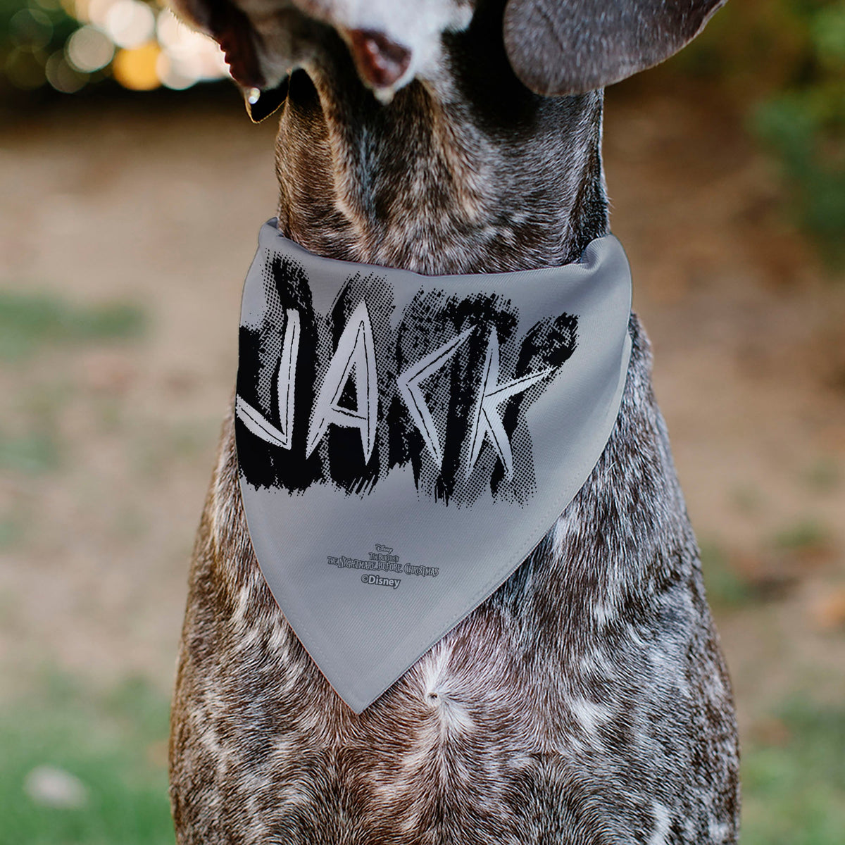 Pet Bandana - The Nightmare Before Christmas JACK Smiling Pose and Text Gray