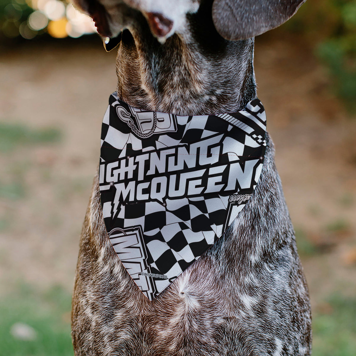 Pet Bandana - Cars LIGTNING MCQUEEN Checker Flag Collage White/Black