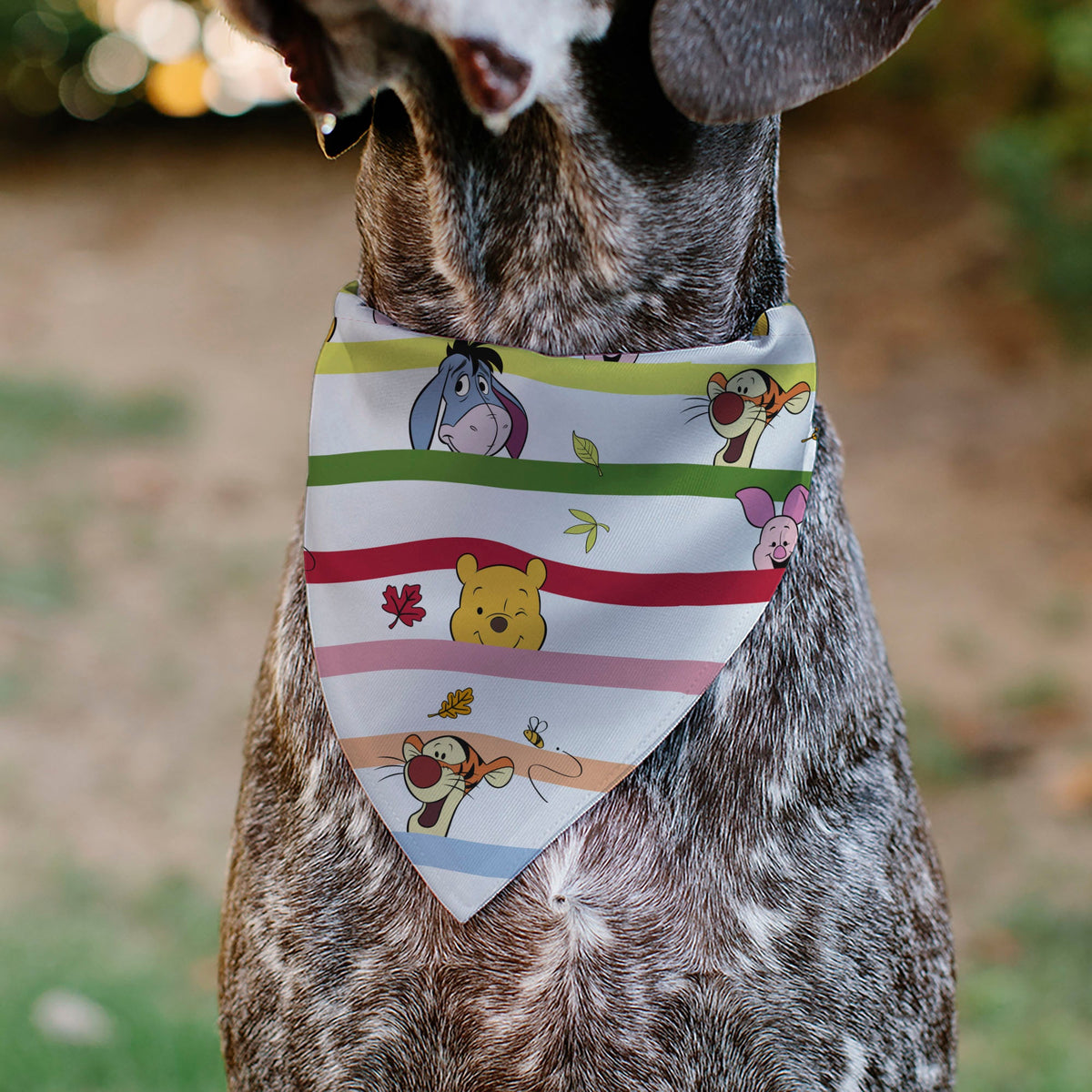 Pet Bandana - Winnie the Pooh and Friends Poses Stripe White/Multi Color
