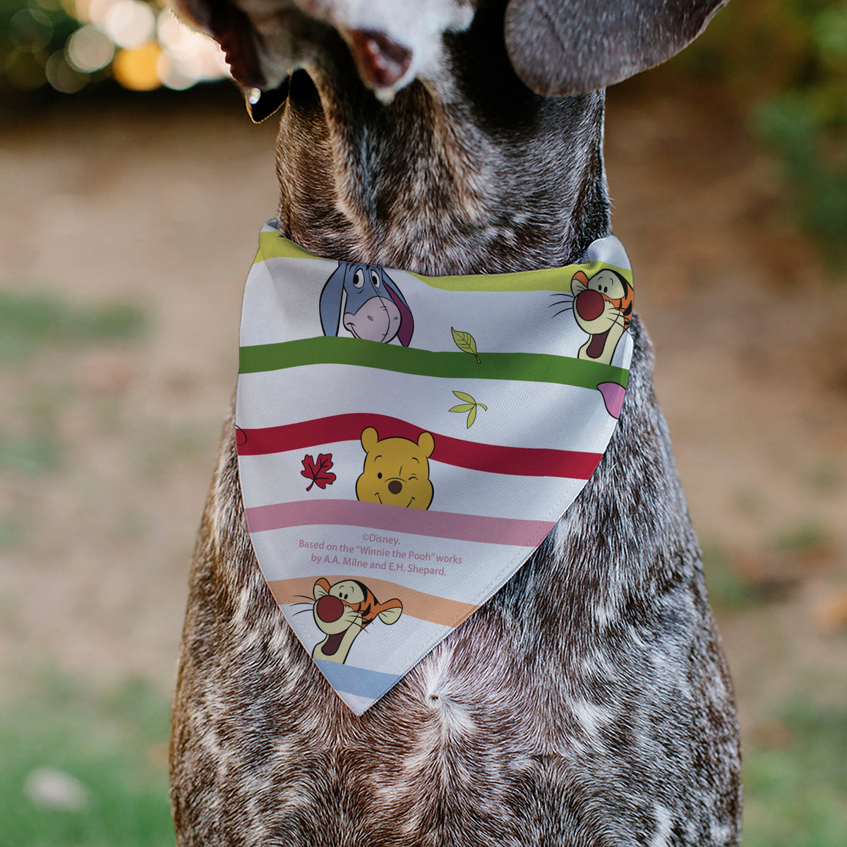 Pet Bandana - Winnie the Pooh and Friends Poses Stripe White/Multi Color