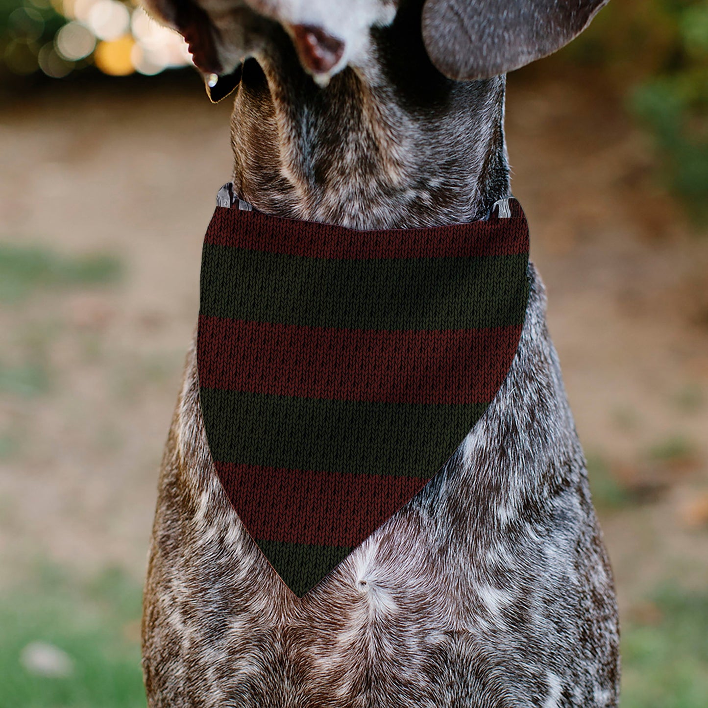 Pet Bandana - A Nightmare on Elm Street Freddy Melted Black/White/Red