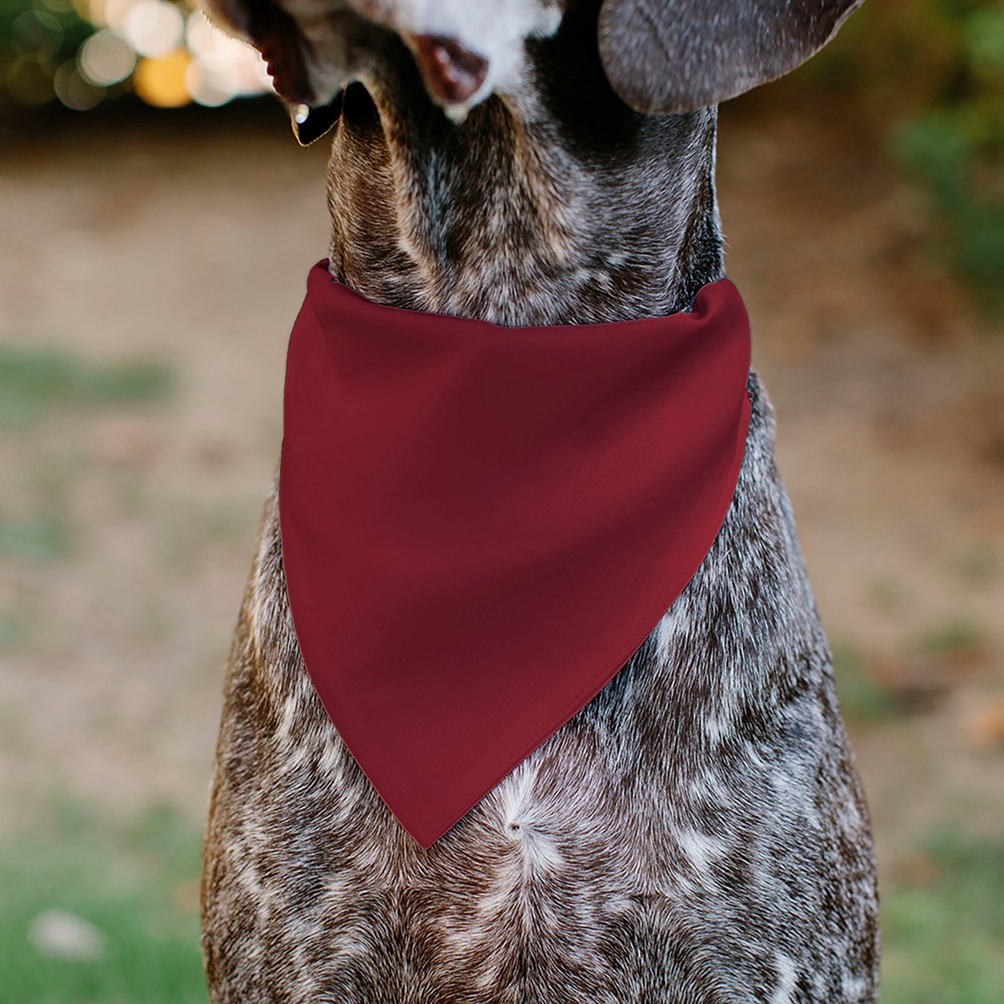 Pet Bandana - Ford Vintage Bronco Logo and Silhouette Red/Black/White