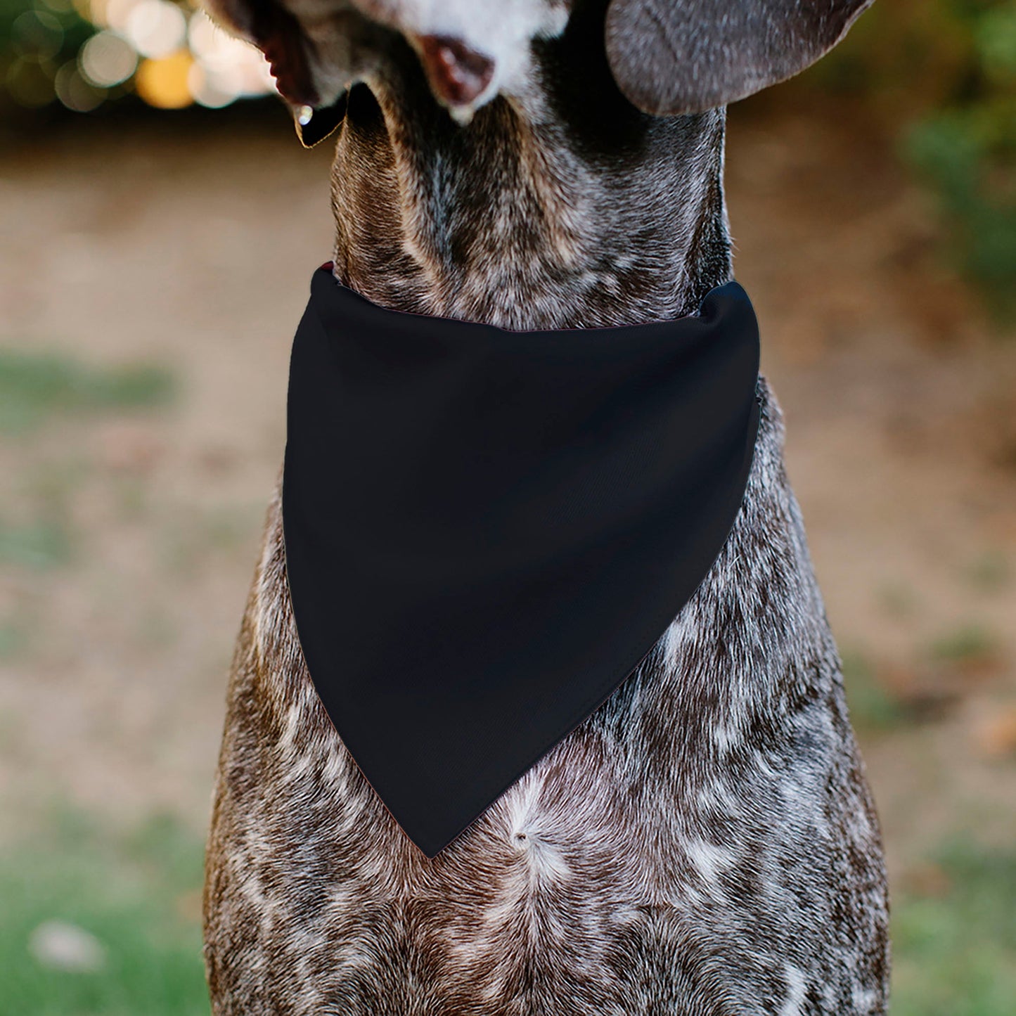 Pet Bandana - FORD Script Americana Stars and Stripes Weathered Red/White/Blue