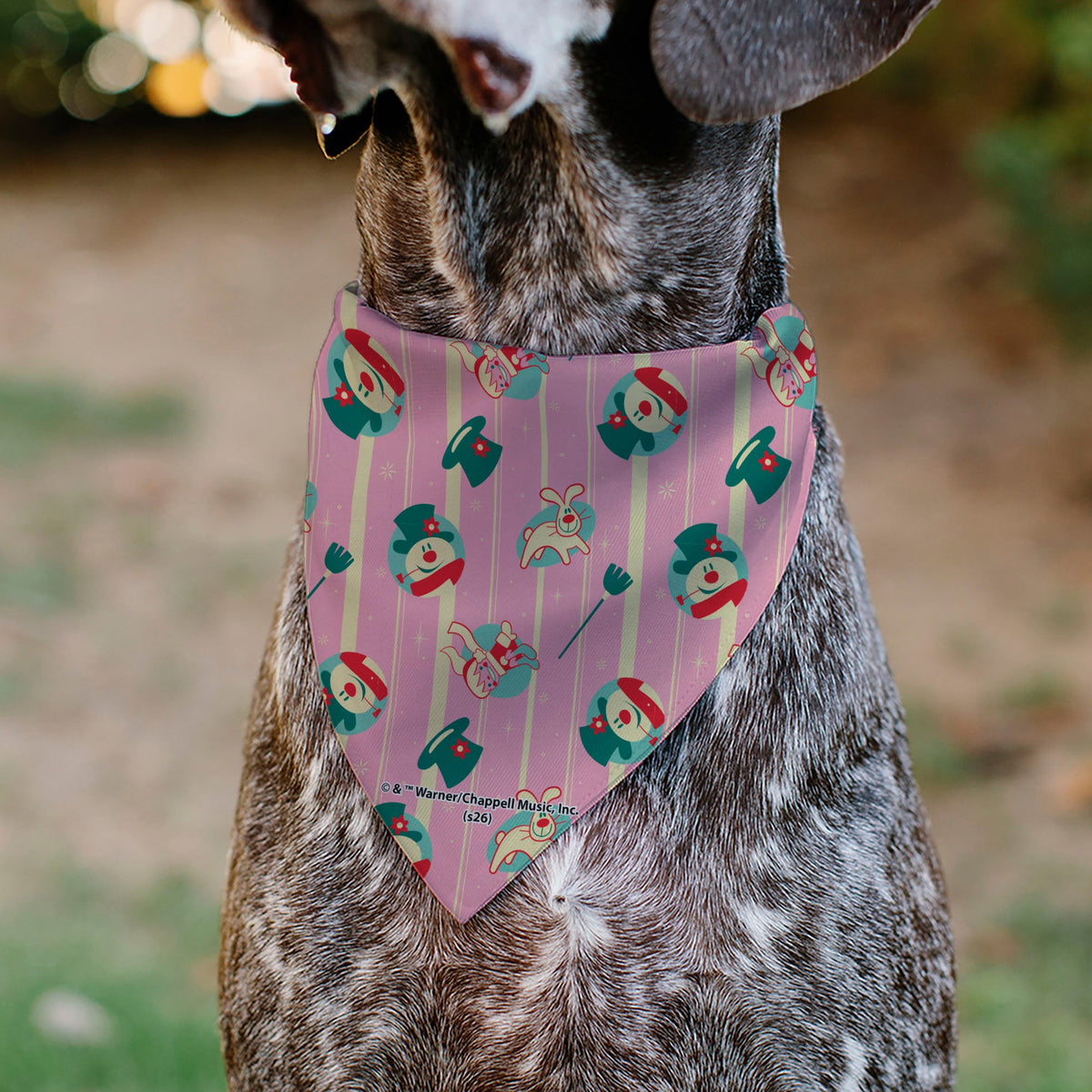 Pet Bandana - Frosty the Snowman Character Icon Stripe Pink/Beige