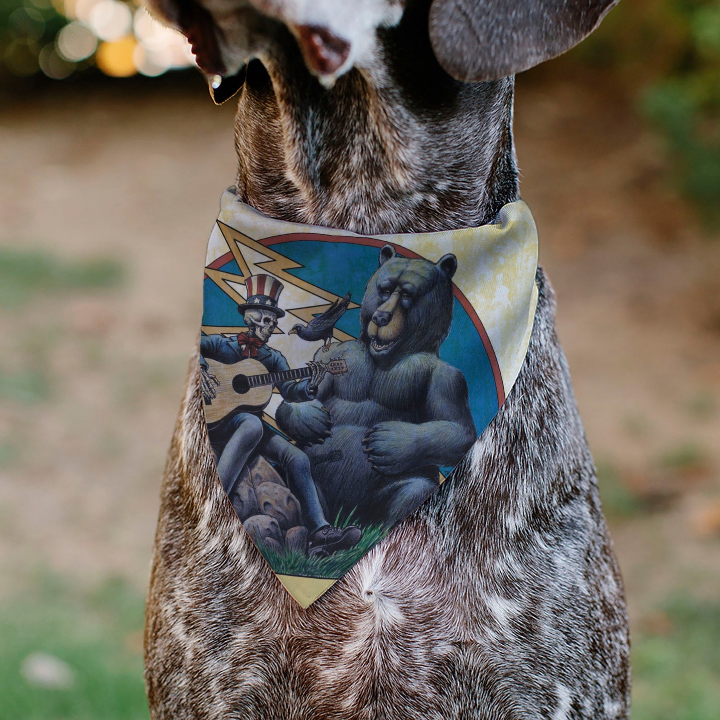 Pet Bandana - Grateful Dead Dave's Picks Volume Five Truman UCLA Cover Art