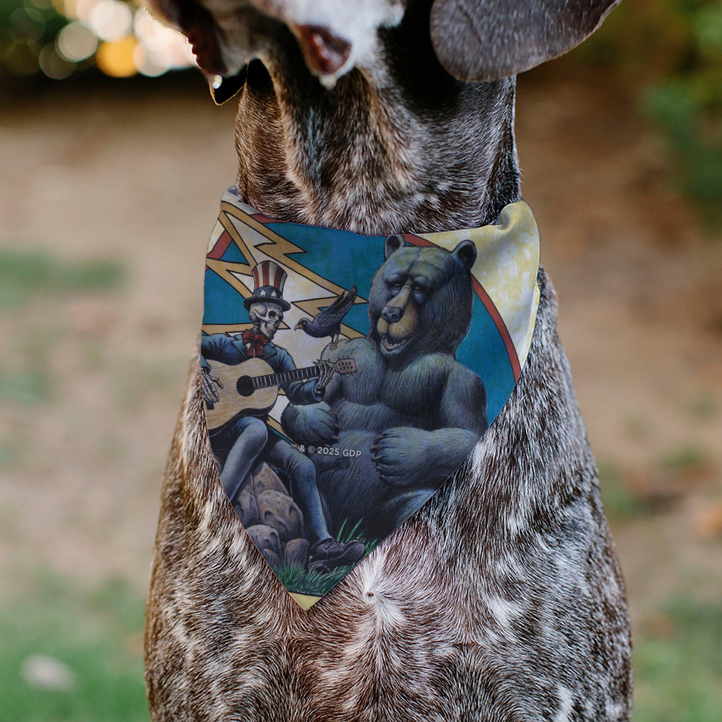Pet Bandana - Grateful Dead Dave's Picks Volume Five Truman UCLA Cover Art