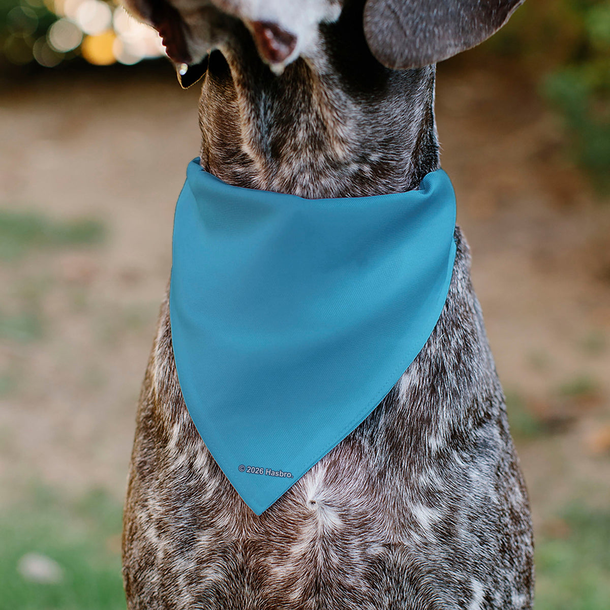 Pet Bandana - FURBY Five Furblets Faces and Logo Multi Color