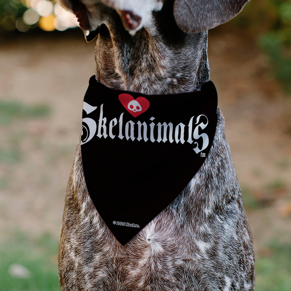 Pet Bandana - Skelanimals Diego Pose and Title Logo White/Black