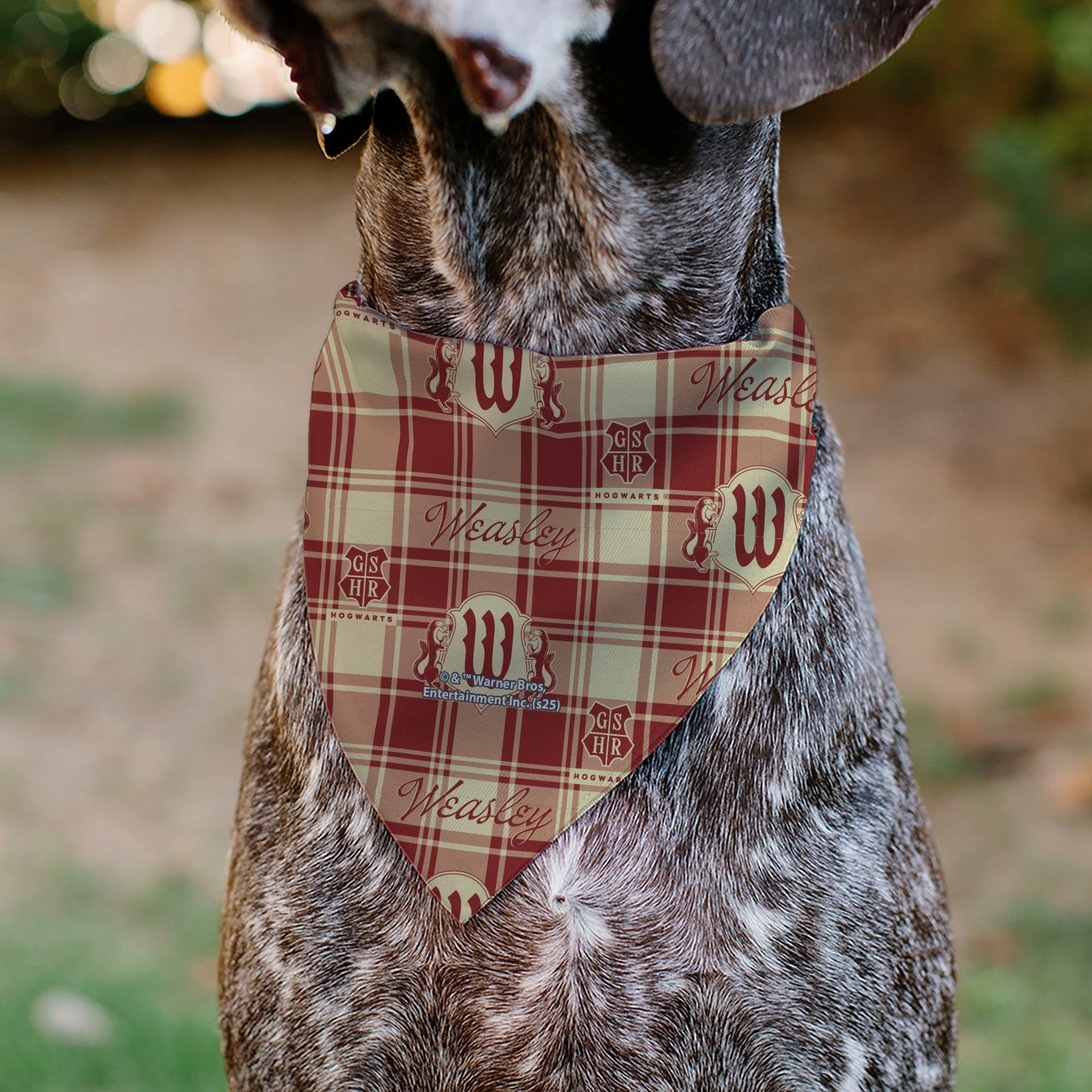 Pet Bandana - Harry Potter WEASLEY Family House Crest Plaid Beige/Burgundy