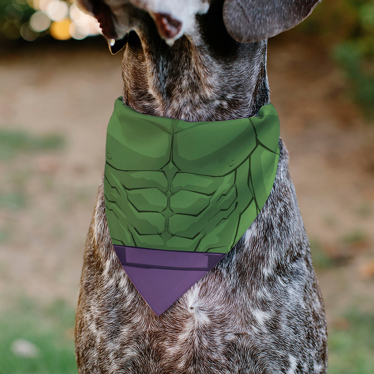 Pet Bandana - Hulk Chest Detail Green/Purple