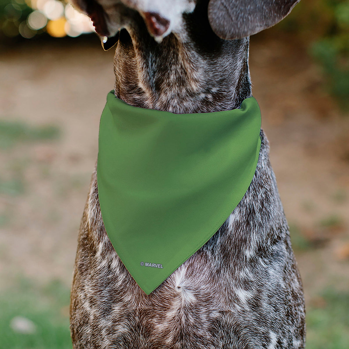 Pet Bandana - Hulk Chest Detail Green/Purple