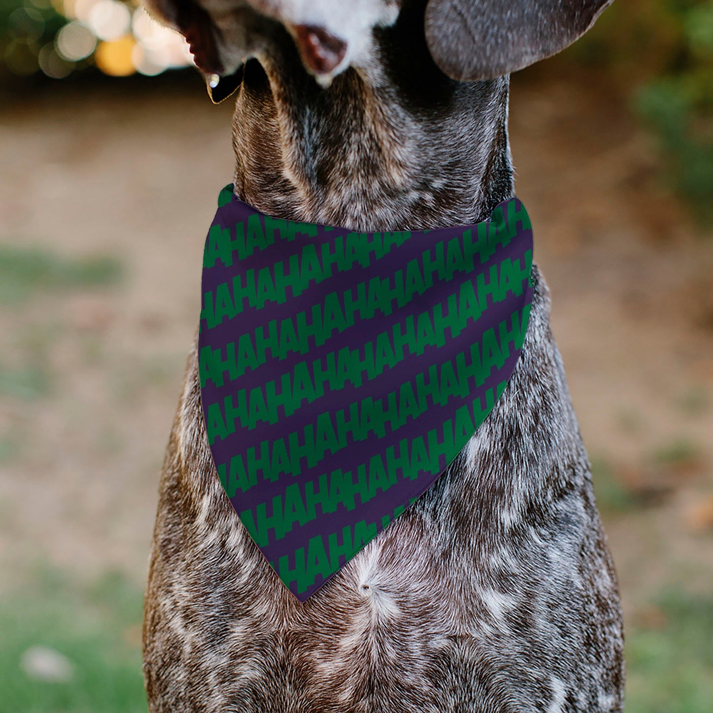 Pet Bandana - The Joker Laugh HAHAHA Text Purple/Green