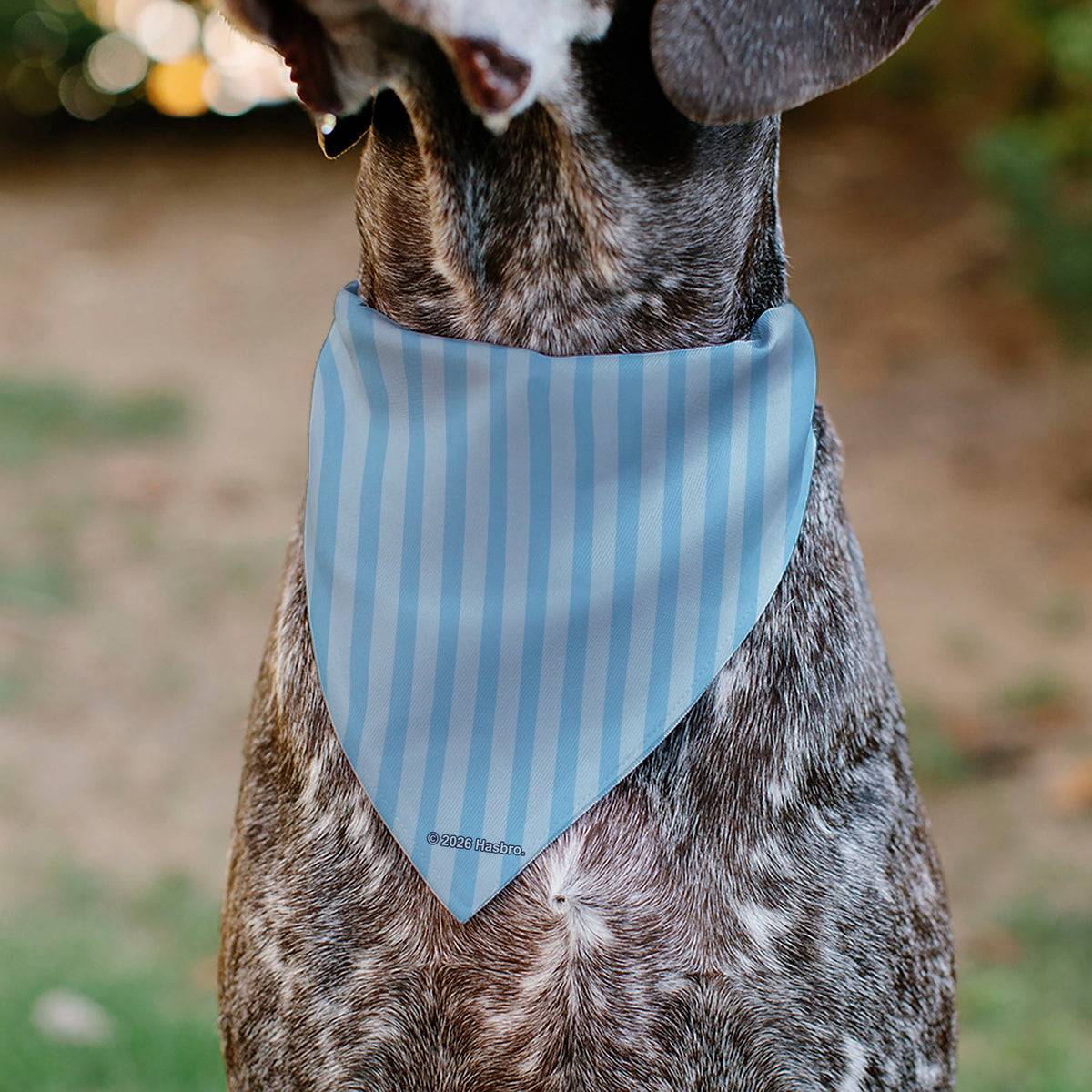 Pet Bandana - LITTLEST PET SHOP Animal Poses and Title Logo Stripe Blues