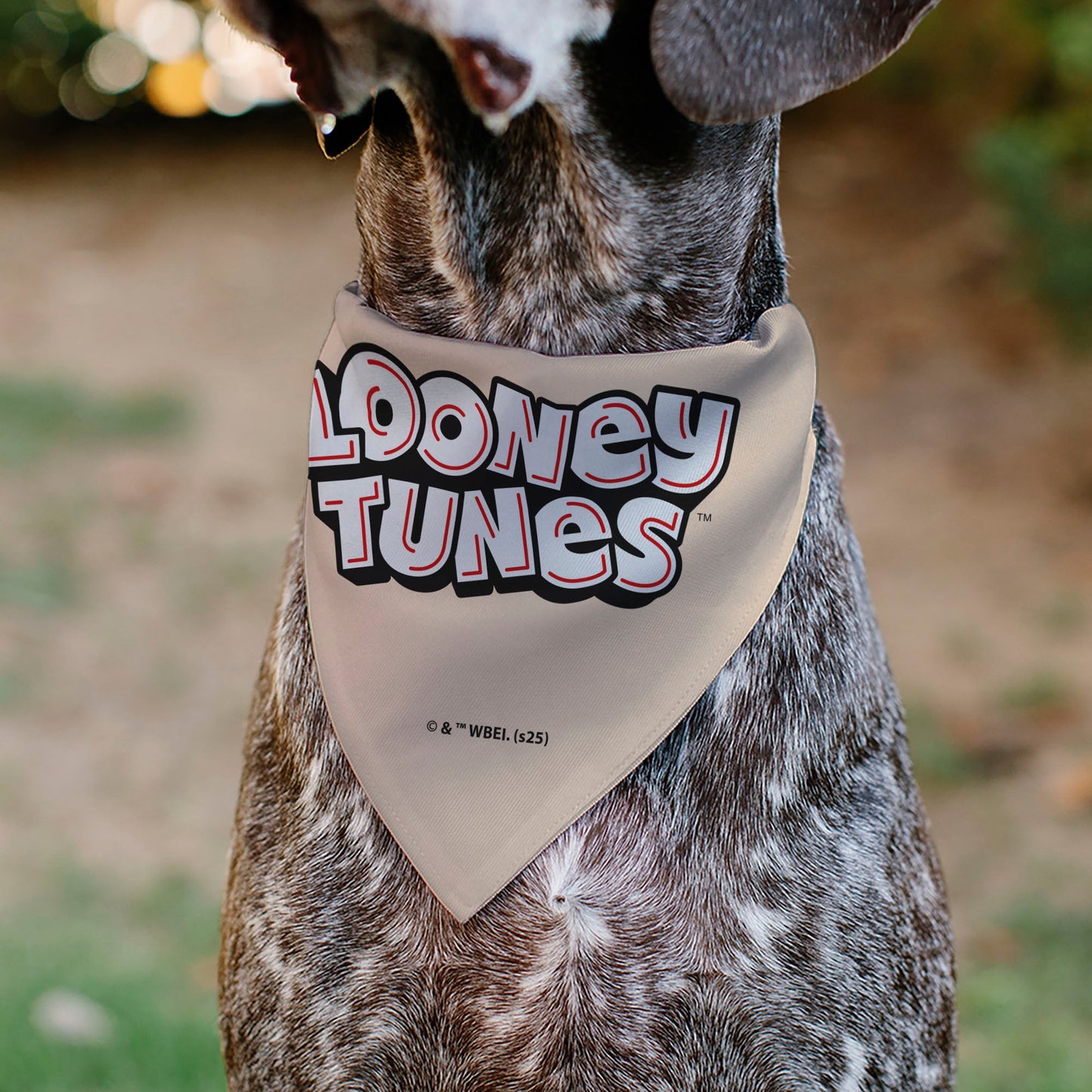 Pet Bandana - LOONEY TUNES Six Character Stack Pose Beige